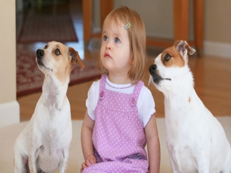 Las ventajas de tener una mascota en casa