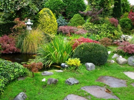 Ideas básicas para el diseño de tu jardín