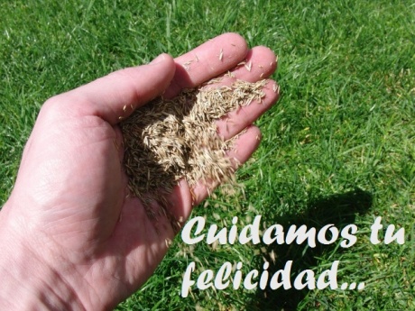9 consejos para cuidar tu jardín