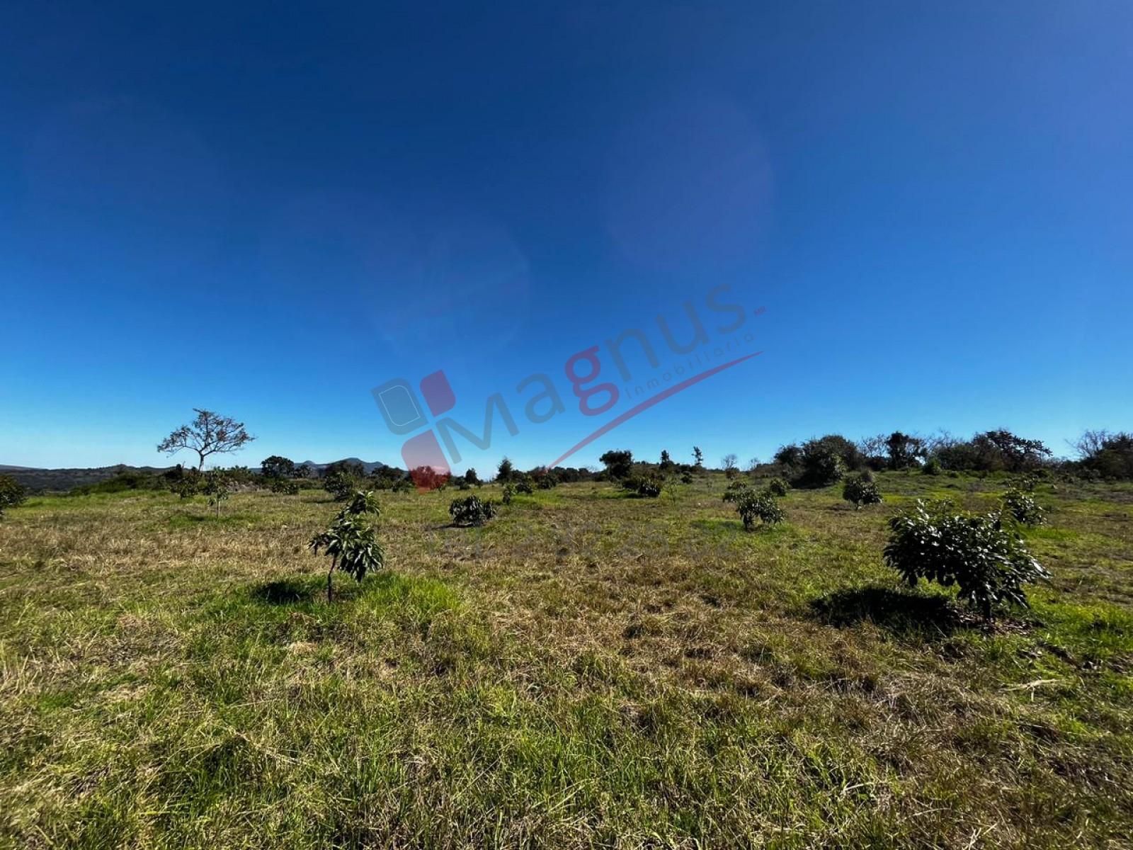POBLADO SAN BERNABE (HUERTA DE AGUACATE)