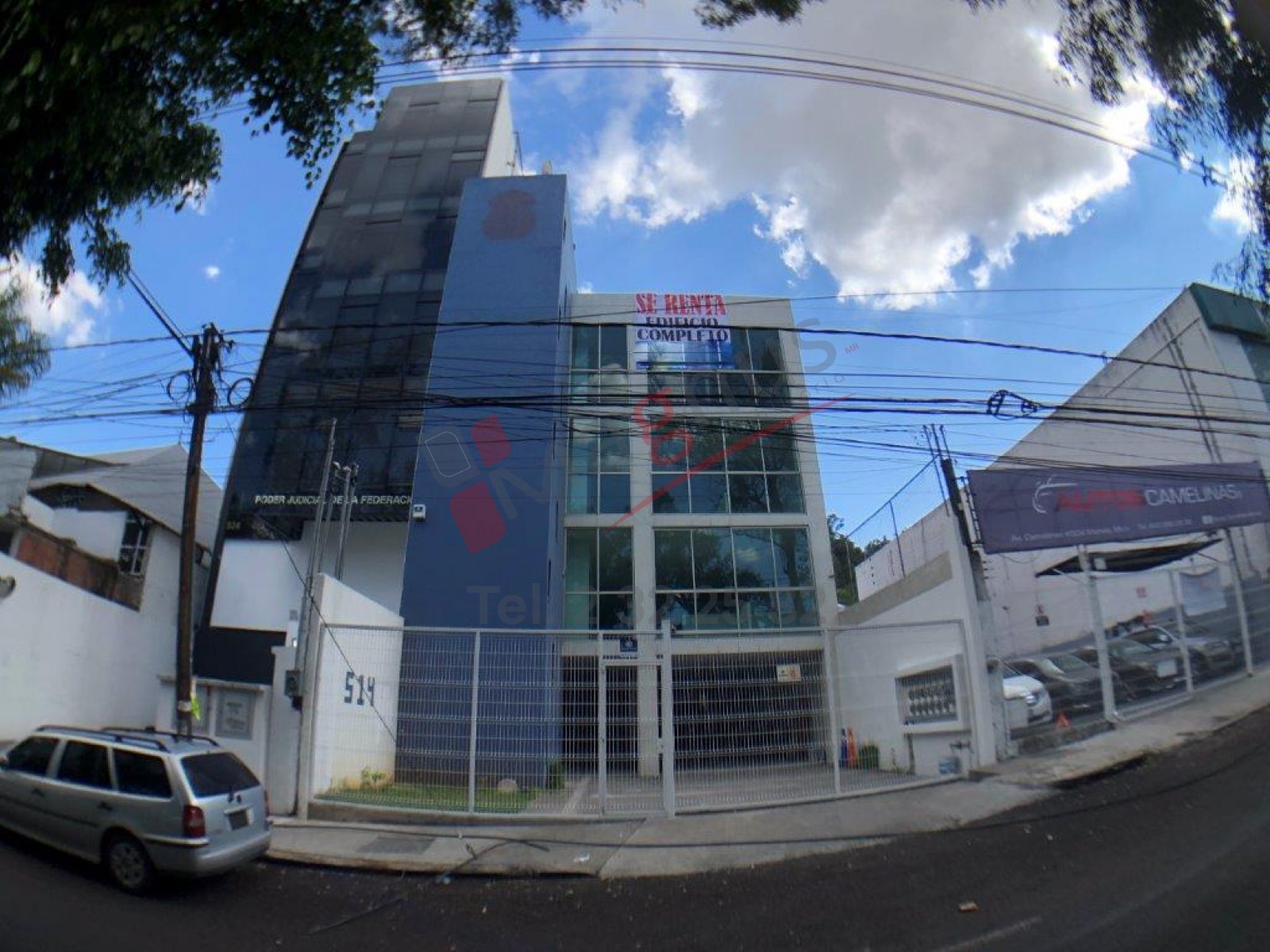 NUEVA JACARANDAS