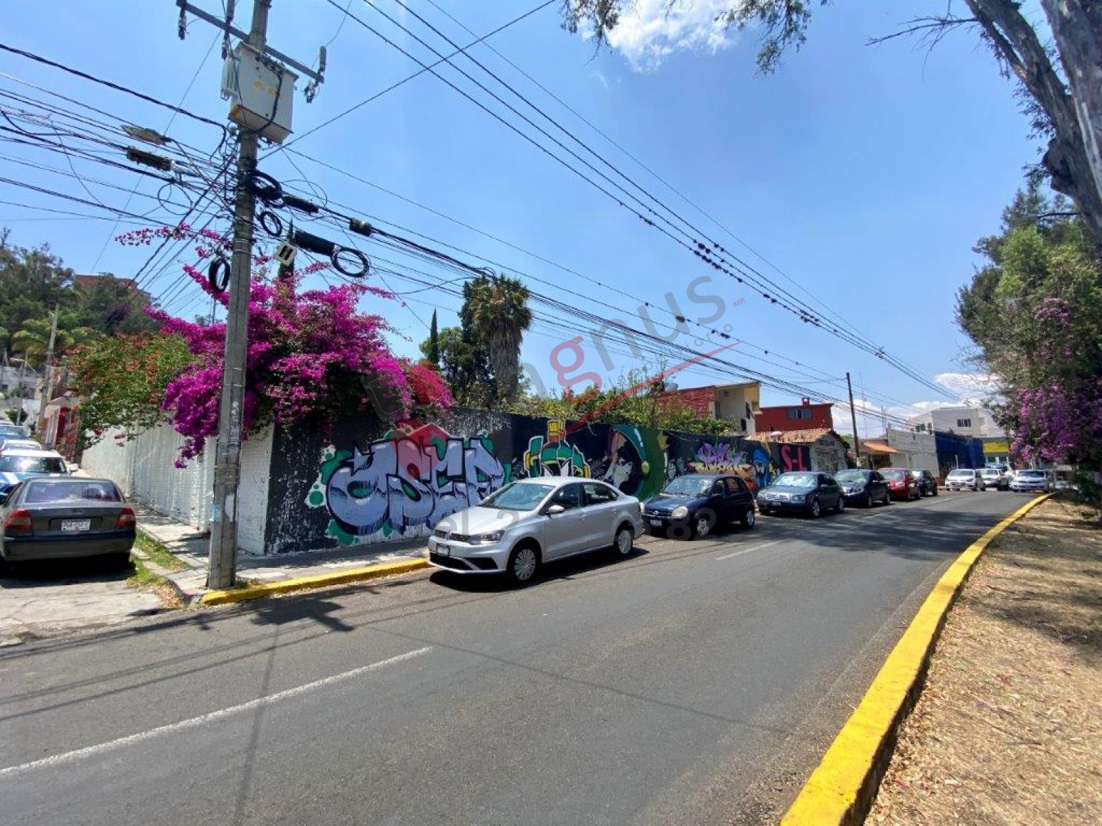 NUEVA JACARANDAS