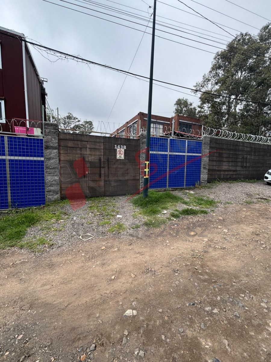 PABLO GALEANA (POR FIRA)