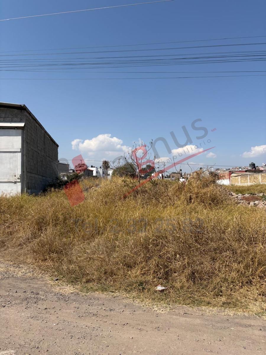 EL TREBOL (TARIMBARO, MICH)