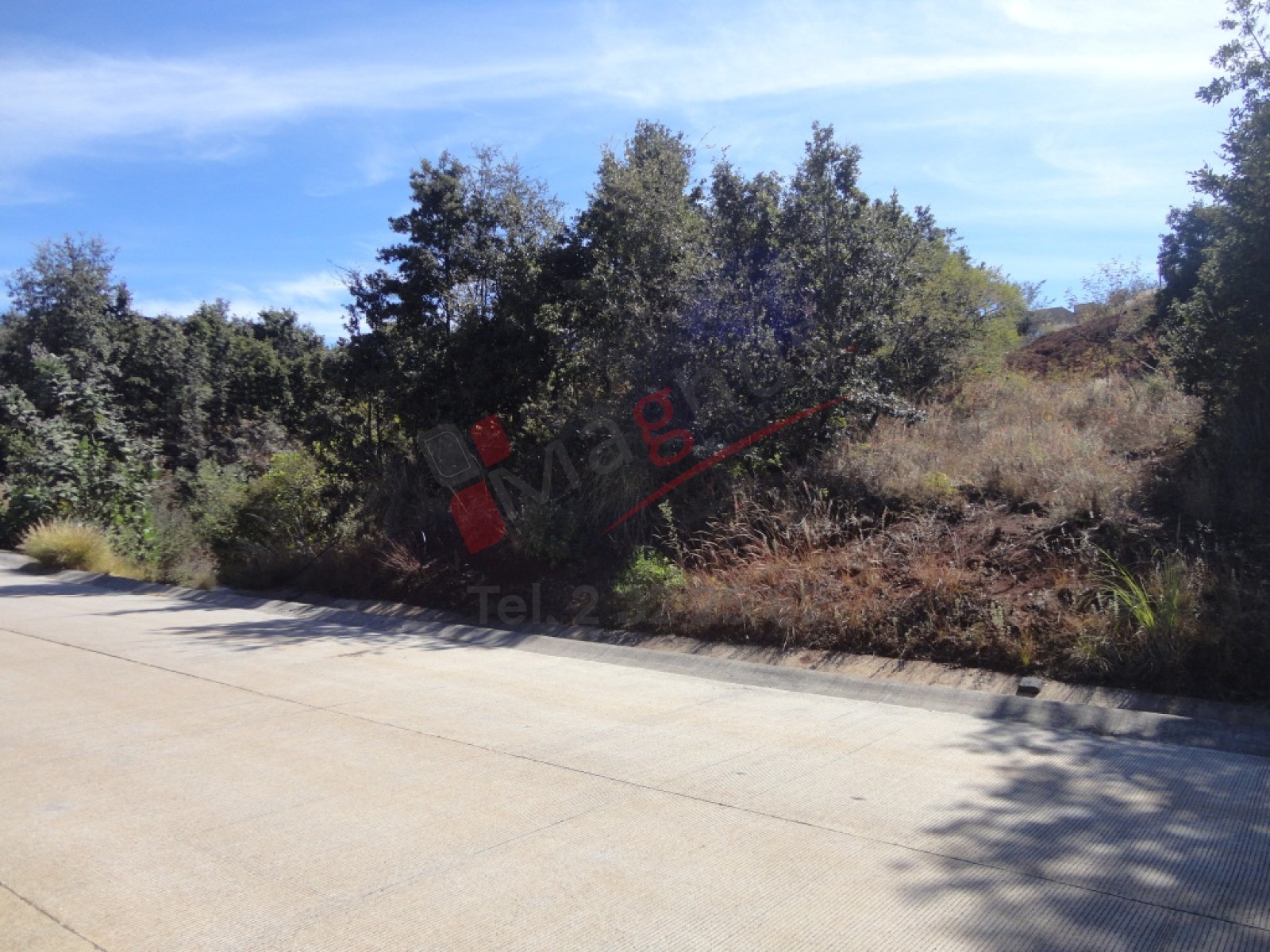 CLUB DE GOLF ALTOZANO