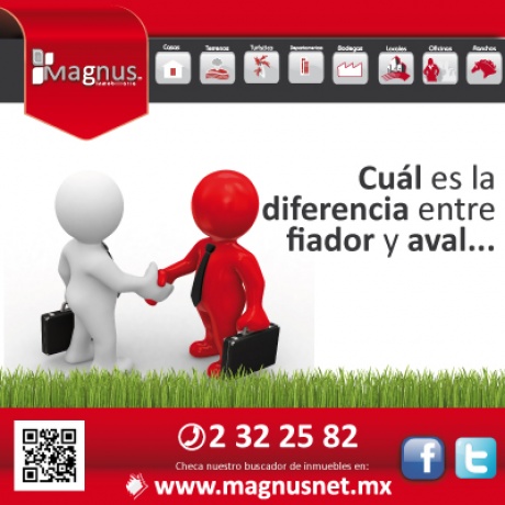 ¿Cual es la diferencia entre fiador y Aval?