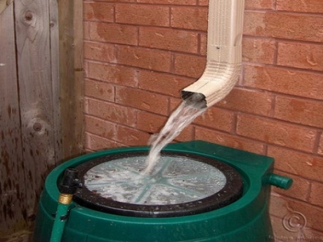 Tips como reciclar el agua de lluvia