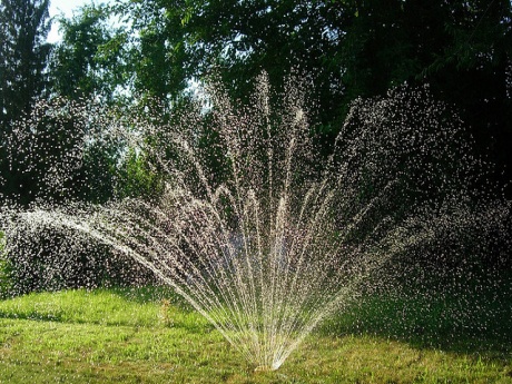 Trucos para mantenimiento de jardinería