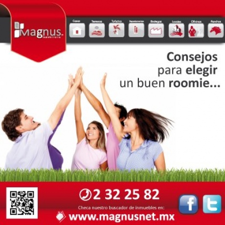 Consejos para elegir un buen roomie
