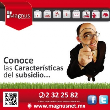 CARACTERÍSTICAS DEL SUBSIDIO