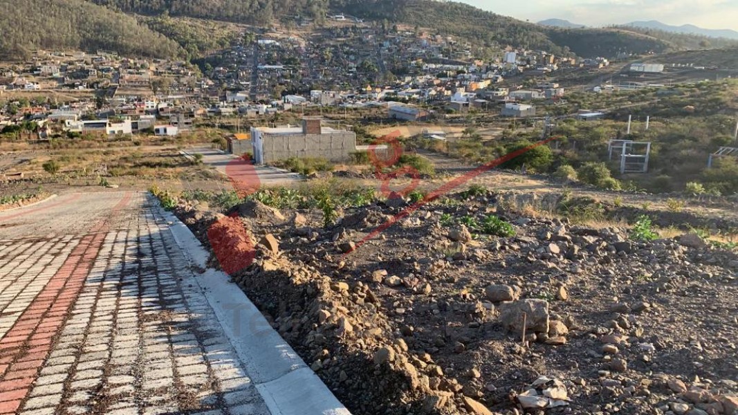 NÚCLEO AGRARIO SAN MIGUEL DEL MONTE
