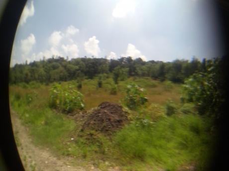 SAN JOSE DEL CERRITO