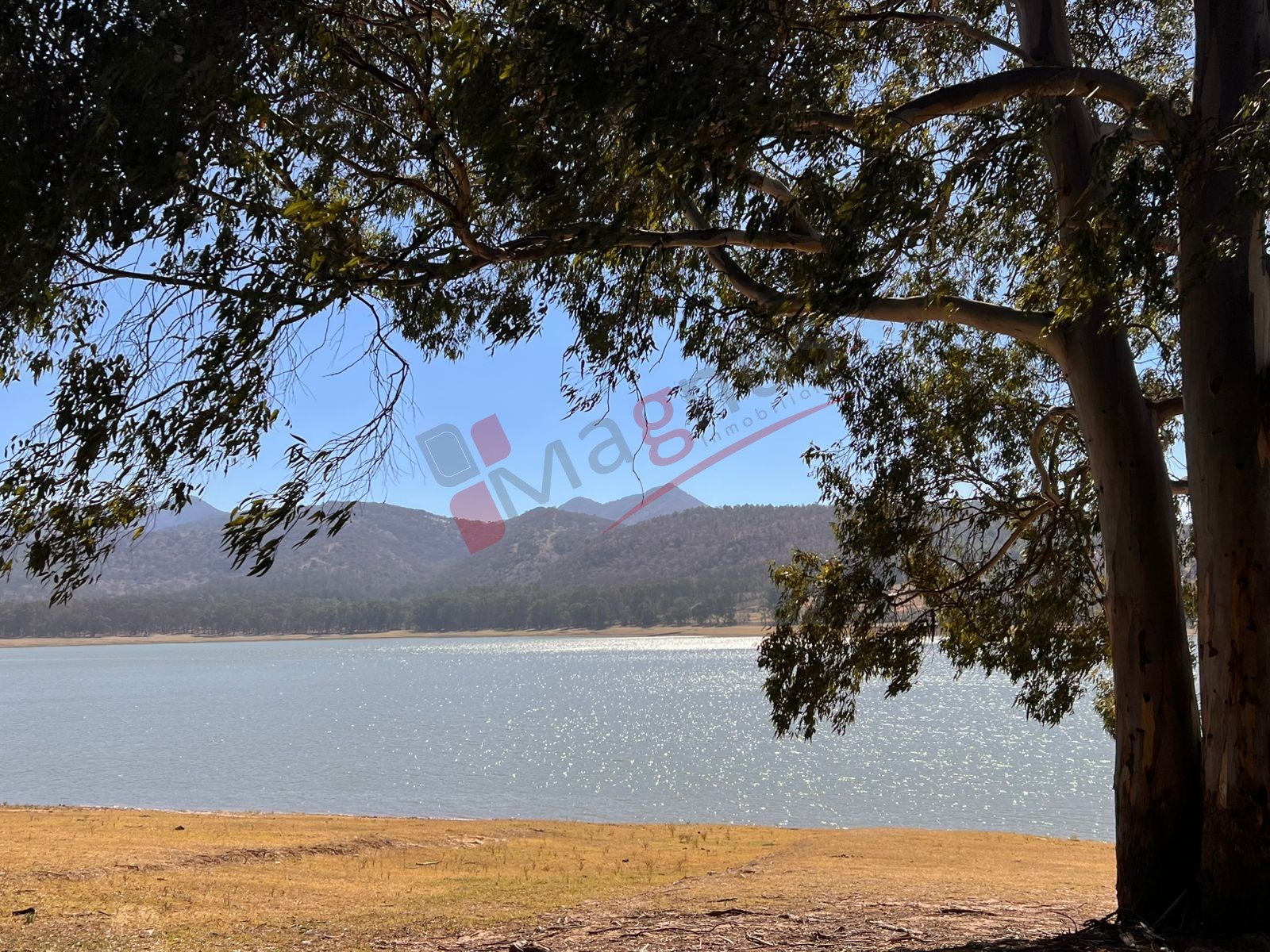 DESARROLLO TURISTICO LA PRESA