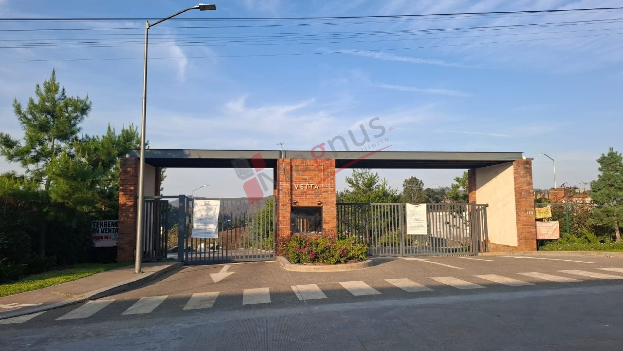 VESTA DEL MONTE (JESUS DEL MONTE)