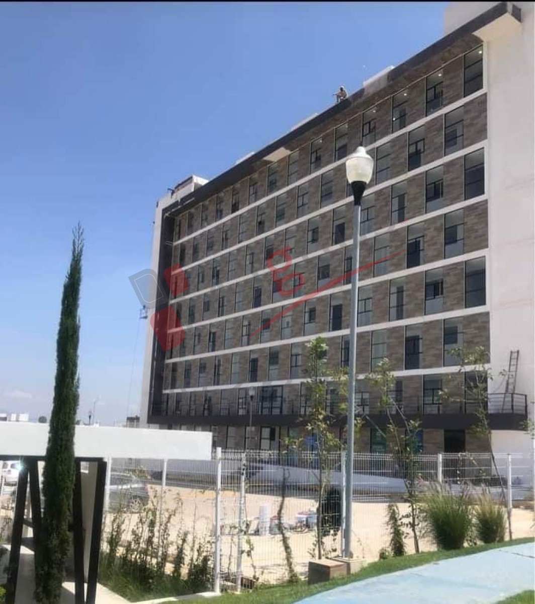 QUINTA CANTERA (ALTOZANO)