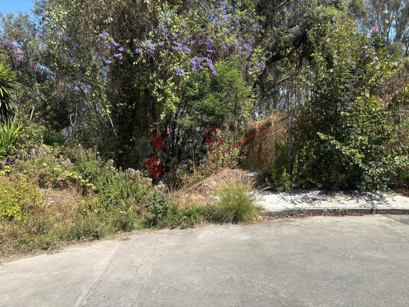 LOMAS DE SANTA MARIA