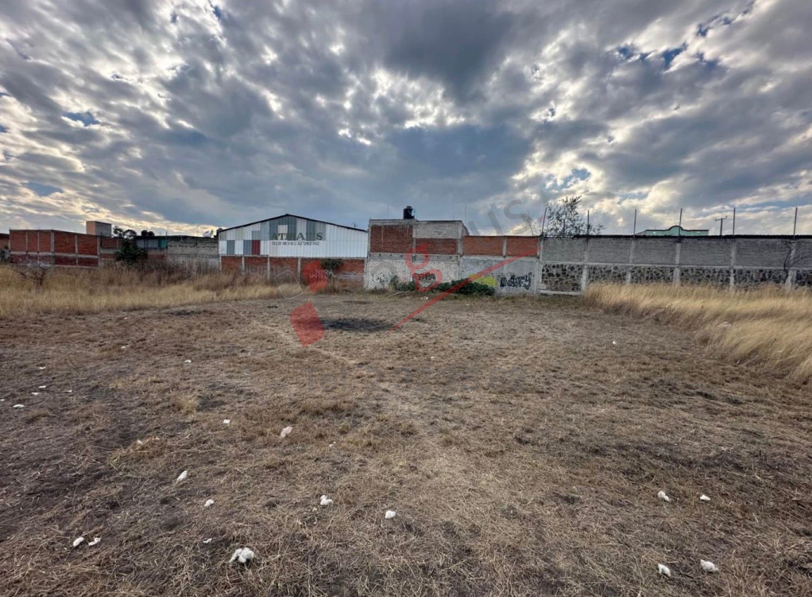 AMPL. GERTRUDIS SANCHEZ II