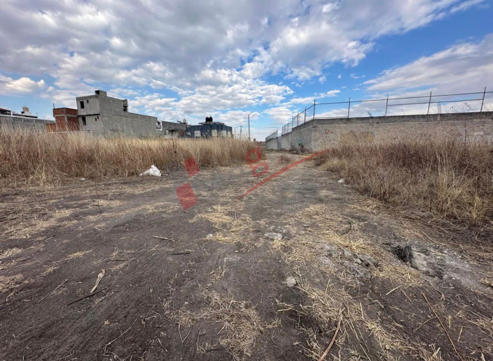 AMPL. GERTRUDIS SANCHEZ II