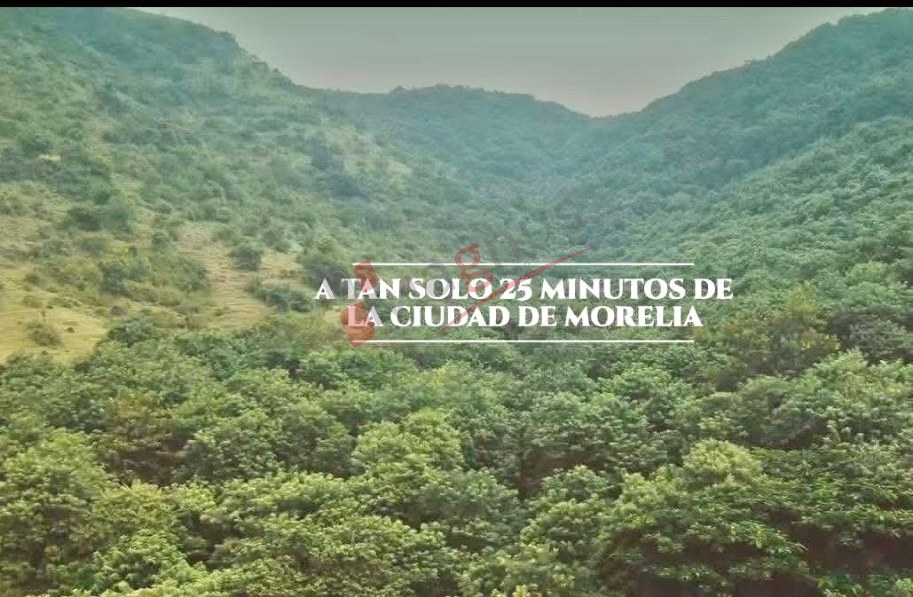BOSQUES DEL PARAISO (EL VAQUERITO, SALIDA A  MIL CUMBRES)