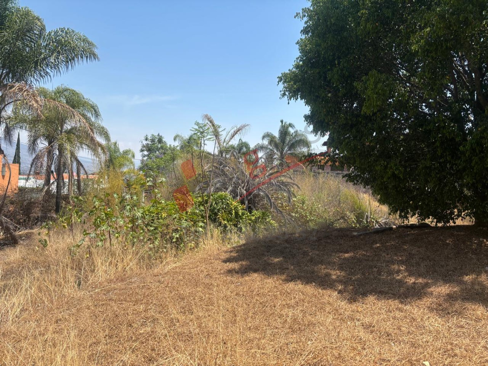 VISTA BELLA